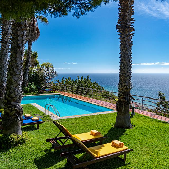 Casa do Papagaio Verde - Portugal - Madeira - Funchal
