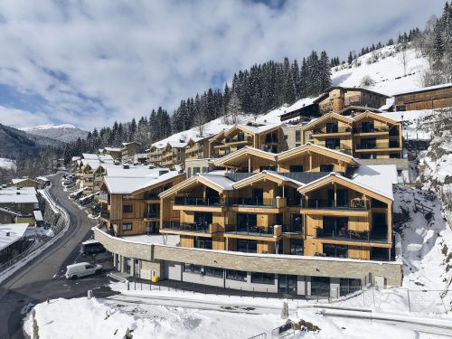 Chalet-appartement AlpenParks Rehrenberg Superior - 4-6 personen - Oostenrijk - Skicircus Saalbach / Hinterglemm / Leogang / Fieberbrunn - Viehhofen (bij Saalbach)