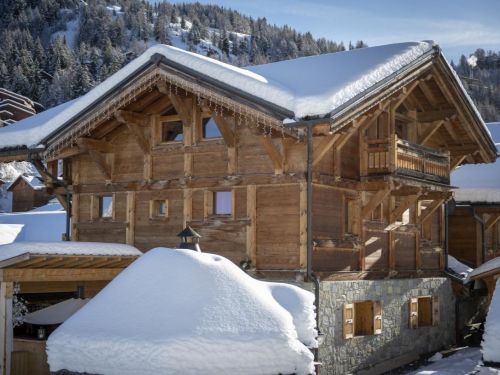Chalet du Cocoon Pierra Menta 2 met sauna en gedeelde buiten-whirlpool - 15 personen - Frankrijk - Paradiski - La Plagne - Plagne 1800