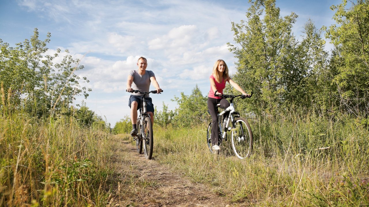 Fietsvakantie: Giethoorn en 3 Nationale Parken - Nederland - Overijssel - Bult