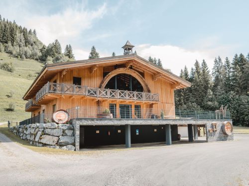 Chalet-appartement Fassl - 8 personen - Oostenrijk - Skicircus Saalbach / Hinterglemm / Leogang / Fieberbrunn - Hinterglemm