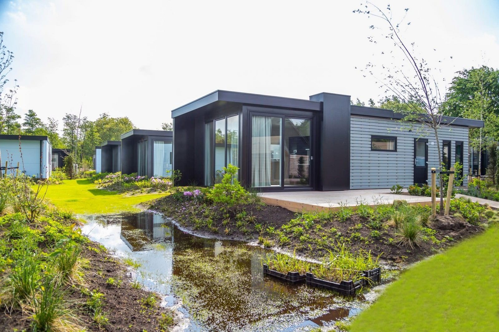 Chalet met ruim terras 4 - personen - Wanneperveen