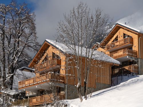 Chalet Harmonie - 12-14 personen - Frankrijk - Alpe d'Huez - Le Grand Domaine - Vaujany