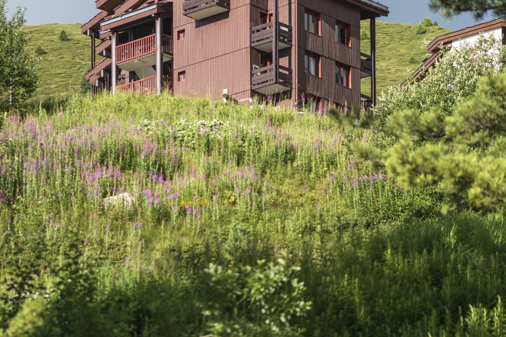 Les Gemeaux 2p 6p coinnuit - Frankrijk - Belle Plagne