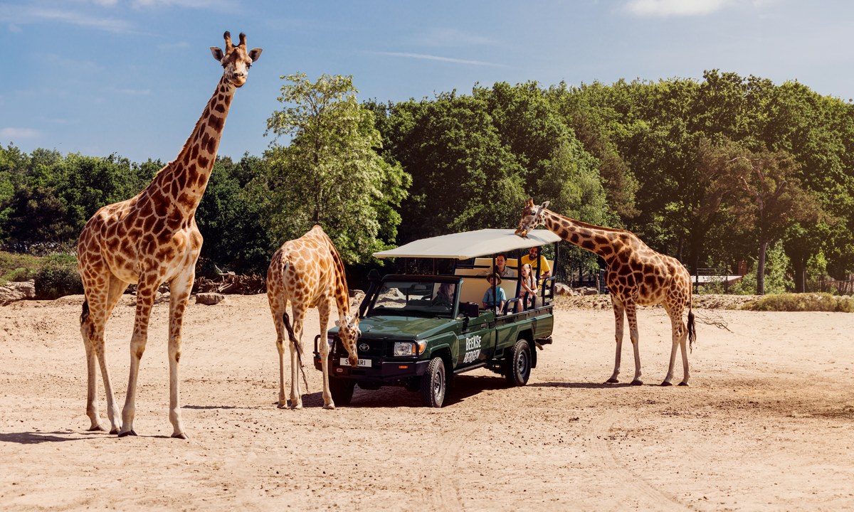 Camping Lake Resort Beekse Bergen