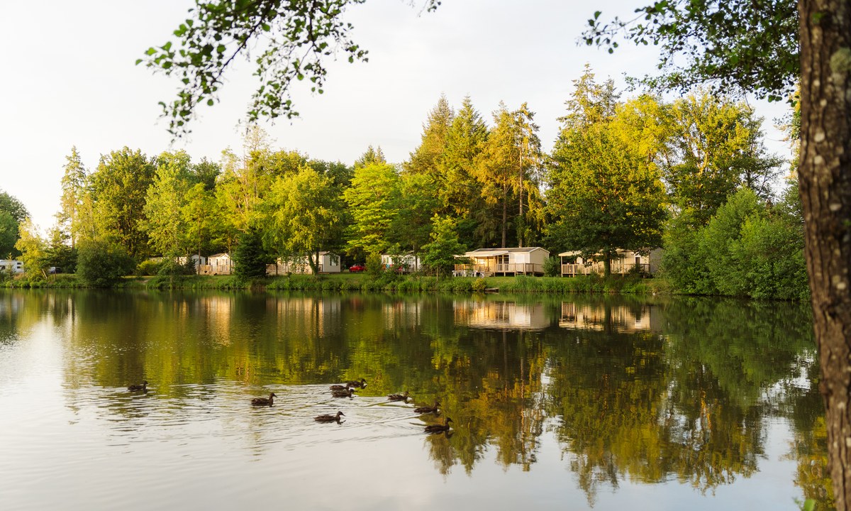 Camping L Etang de Sologne