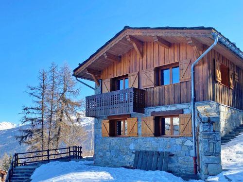 Chalet Les Coches zondag t/m zondag - 10-15 personen - Frankrijk - Paradiski - La Plagne - Les Coches