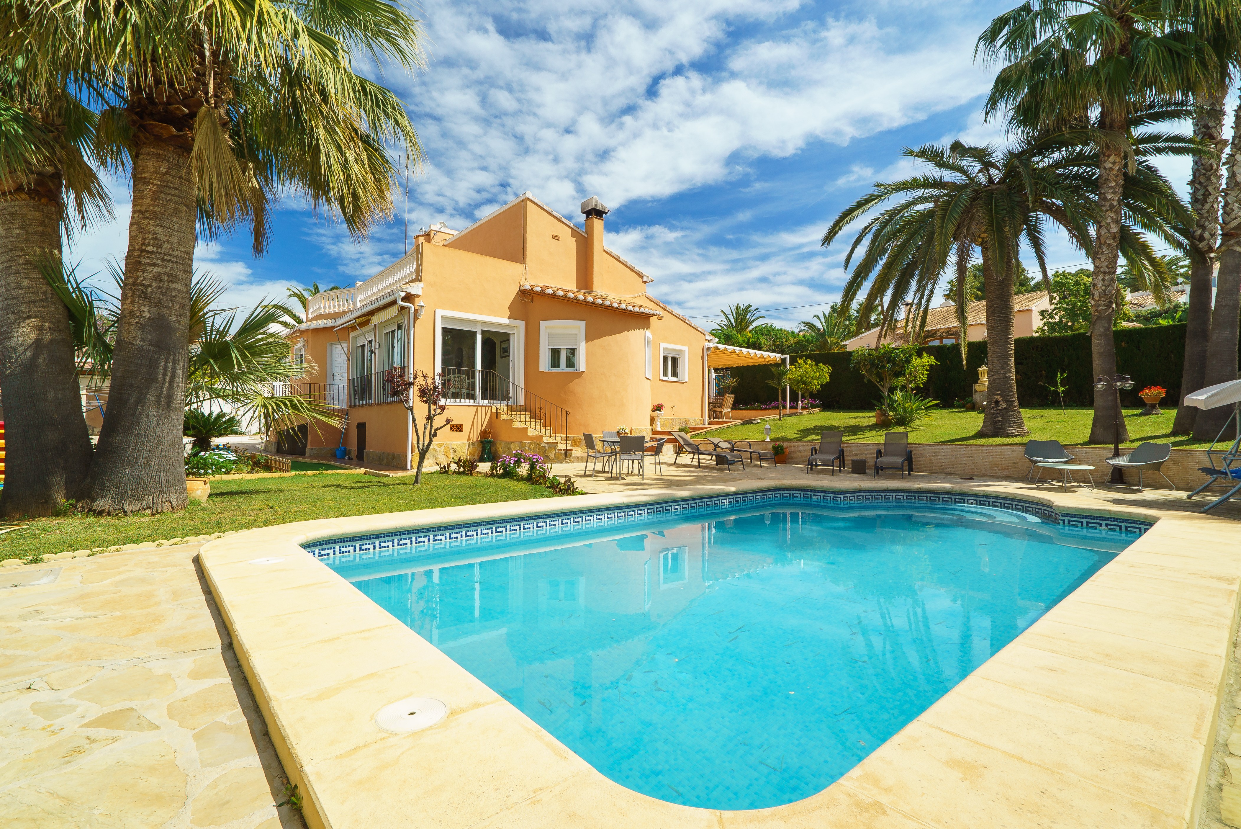 Gladiolo - Spanje - Alicante