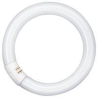 L 32W/840 C - Fluorescent lamp ring shape 32W 29mm L 32W/840 C