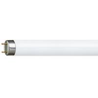 Leuchtstoffröhre EEK: A (A++ - E) G13 36W Röhrenform (Ø x L) 26mm x 1200mm