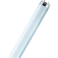 osram Leuchtstoffröhre EEK: A (A++ - E) G13 16W Röhrenform (Ø x L) 26mm x 720mm