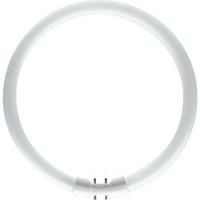 osram FC 22W/840 - Fluorescent lamp ring shape 22W 16mm FC 22W/840