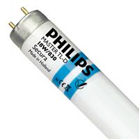 Philips G13 T8 Leuchtstoffröhre mit Splitterschutz