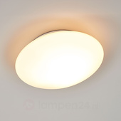 ORION Glazen plafondlamp OPAL, 25 cm