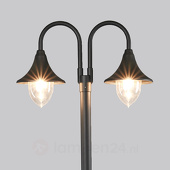 Lampenwelt Madea - kandelaber met 2 lichtbronnen