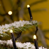 Weihnachtsbaum-Beleuchtung - Konstsmide