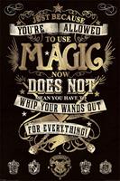 Harry Potter Magic Poster 61x91.5cm
