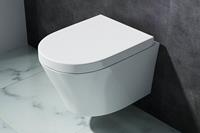 Mueller Afesta toiletpot met soft-close zitting wit