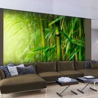 Fotobehang - jungle - bamboo