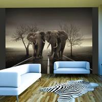 Fotobehang - Stad van olifanten , zwart wit