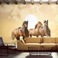 Fotobehang - Galopperende Paarden , beige bruin