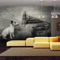 Fotobehang - Hond voor grammofoon , zwart wit