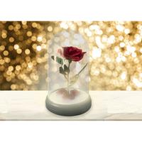 Disney Die Schöne und das Biest Rosen Kuppel Leuchte schwarz/transparent, bedruckt, aus Kunststoff, in Geschenkverpackung. 152 x 101,5 cm - PALADONE