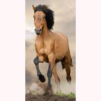 Animal Pictures Paard Strandlaken 70 x 140 cm