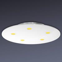 Evotec Dimbare LED-plafondlamp Sunia