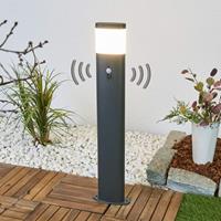 Lampenwelt.com LED tuinpad verlichting Marius met bewegingssensor