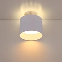 Globo Lighting home24 LED-Deckenleuchte Jenny