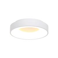 Steinhauer Plafondlamp Ceiling and Wall Wit