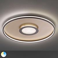 FISCHER & HONSEL LED plafondlamp Bug rond, roest 81 cm