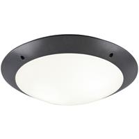 BES LED LED Plafondlamp - Trion Camiro - Opbouw Rond - Waterdicht IP54 - E27 Fitting - 2-lichts - Mat Zwart - Kunststof