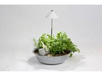 venso LED-plantenlamp SUNLiTE 24 V LED vast ingebouwd 7 W Neutraal wit 1 stuk(s)