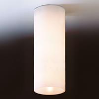 Top Light Eenvoudige plafondlamp DELA van wit glas