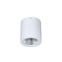 LTS LED-Anbau-Downlight Button Mini 100 IP54 55° 16 W