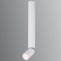 Globo Weiße LED-Deckenleuchte Luwin mit beweglichem Spot