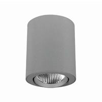 LTS Dreh- und schwenkbarer LED-Spot Button 300, 14 W