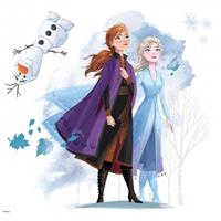 Roommates Wandsticker Disney Frozen II - Anna & Elsa mehrfarbig