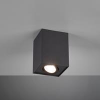 Trio Lighting Plafondlamp Biscuit, 1-lamp, zwart