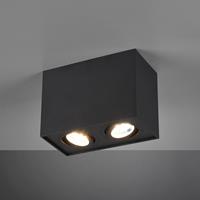 Trio Lighting Plafondlamp Biscuit, 2-lamps, zwart