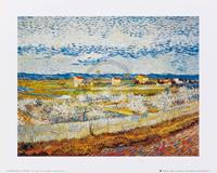 Vincent Van Gogh - Pesco in fiore Kunstdruk 30x24cm