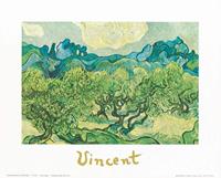 PGM Vincent Van Gogh - Landscapes with olive trees Kunstdruk 30x24cm
