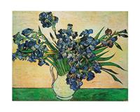PGM Vincent Van Gogh - Iris Strauss, 1890 Kunstdruk 50x40cm