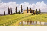 PGM Jim Chamberlain - Tuscan Hillside #5 Kunstdruck 91x61cm