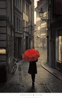 PGM Stefano Corso - Red Rain Kunstdruk 61x96cm