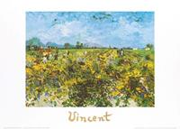 PGM Vincent Van Gogh - The Green Vineyard Kunstdruk 70x50cm