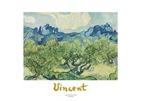 PGM Vincent Van Gogh - Landscapes with olive trees Kunstdruk 70x50cm