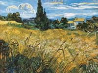 PGM Vincent Van Gogh - Campo di grano Kunstdruck 80x60cm